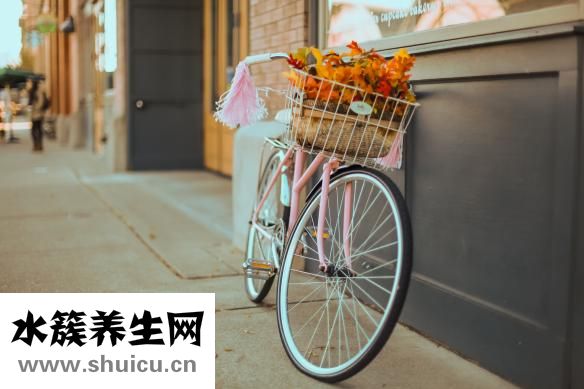 海狗肾宝怎么食用