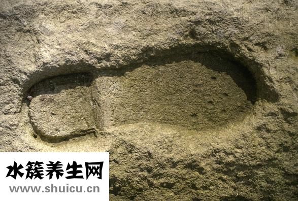 老头鱼怎么做