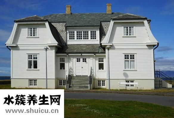 家具树怎么种植