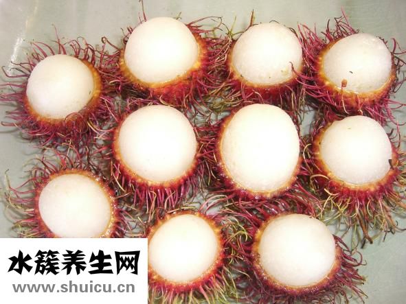 海狗肾宝怎么食用