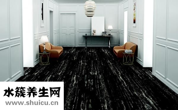 家具树怎么种植