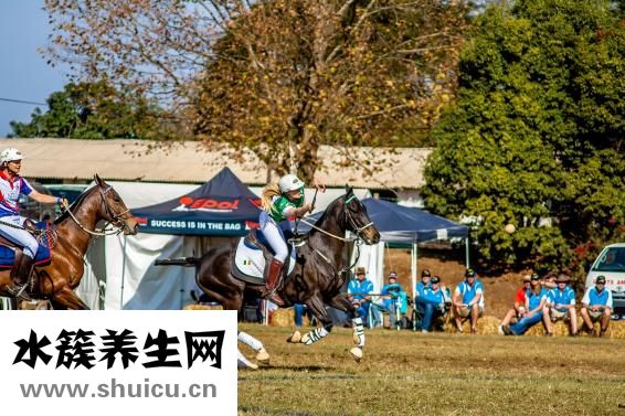 跟腱短跳不高怎么办
