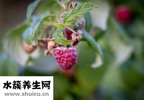 果冻精怎么办