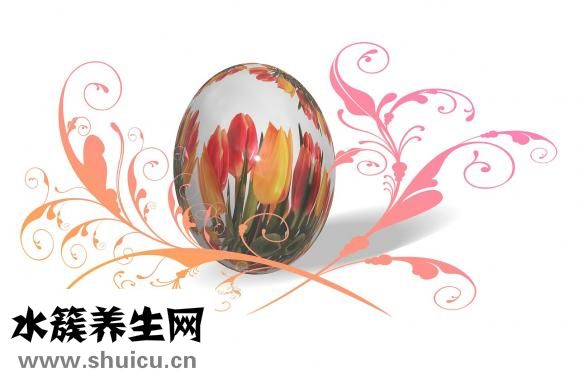 旧燃气灶怎么处理