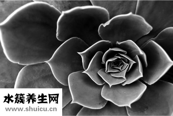 皮肤受伤该怎么办