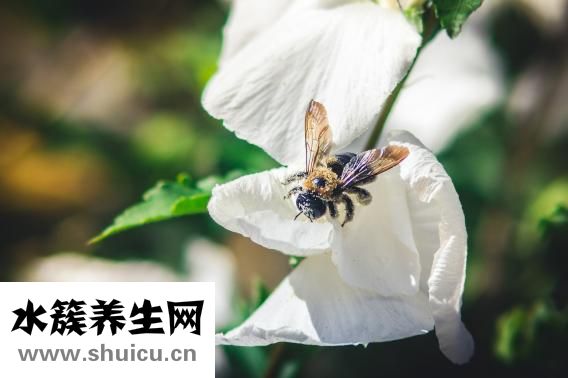 江油水云间怎么消费