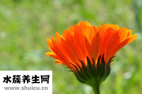 情感依赖症怎么解决