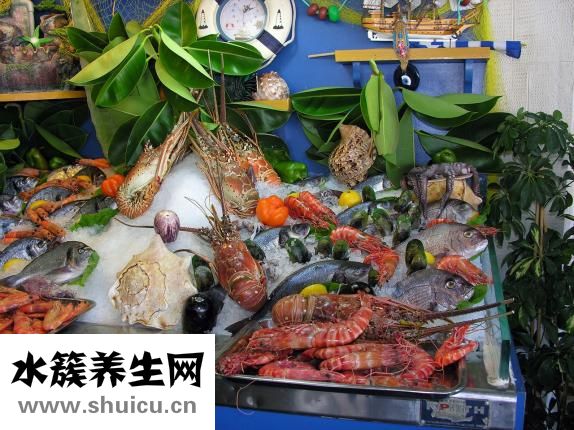 热带鱼怎么分辨公母