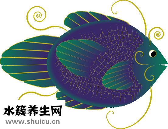 热带鱼怎么分辨公母