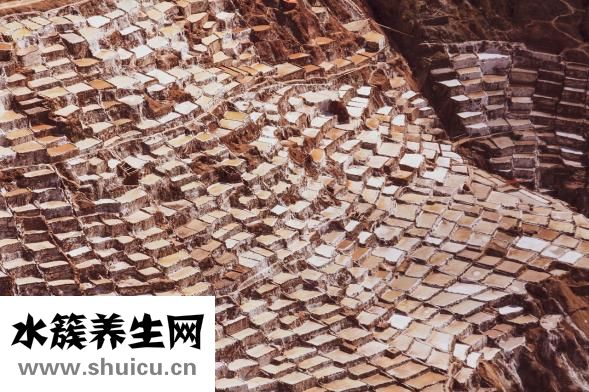 松狮皮炎怎么办