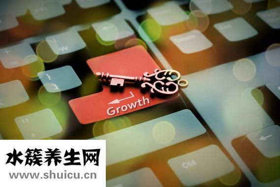 白鸽怎么杀