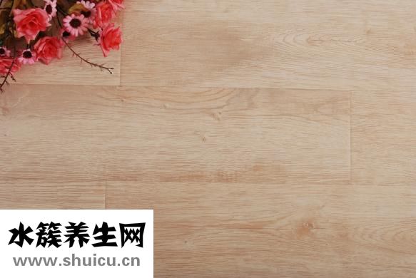 门牙树怎么种植？：家庭装修如何种植