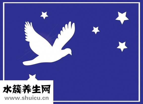 白鸽怎么杀