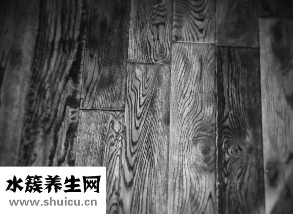 家具树怎么种植