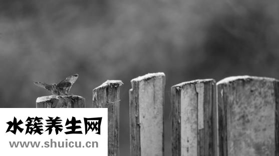 孕妇奶少是怎么回事