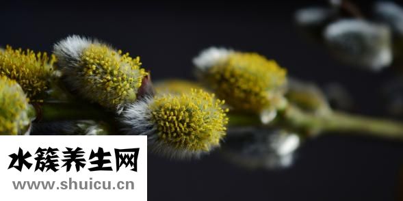 土豆怎么不长芽