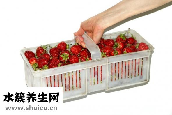 芒是怎么来的