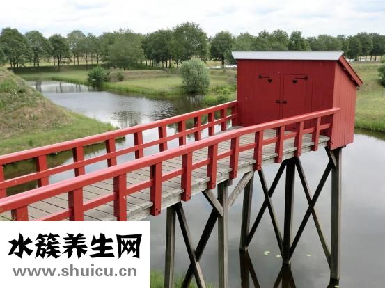 孕妇不上厕所怎么办