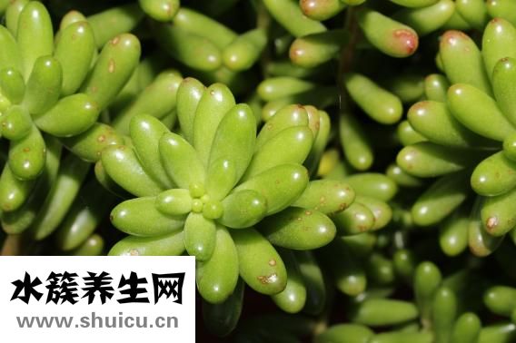 怎么挂气球好看