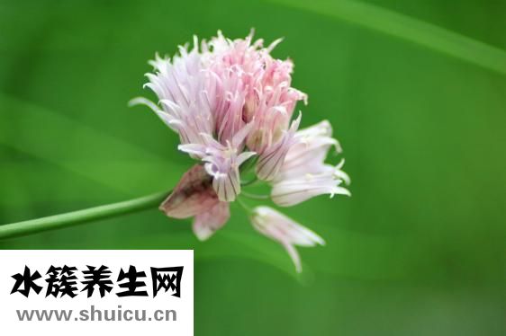 轻度高血压怎么调理
