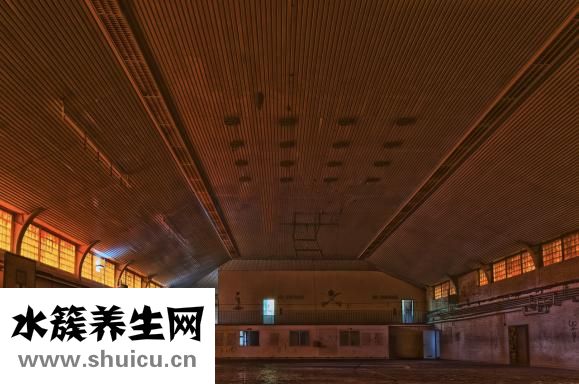 当兵娶老婆怎么办