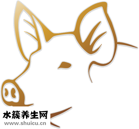 萝卜猪肉馅怎么调