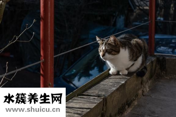 请哺乳假怎么扣奖金