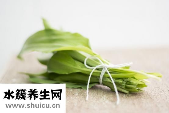 怎么晒蚝干