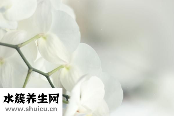 白色管状怎么治