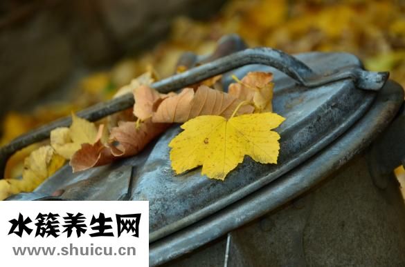 怎么种三七