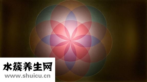 狗大便颜色重怎么了