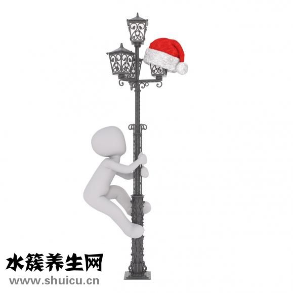 干笔架鱼肚怎么炒