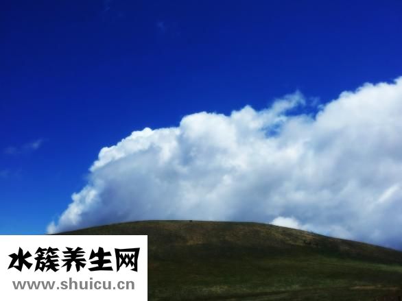 白菜怎么做减肥