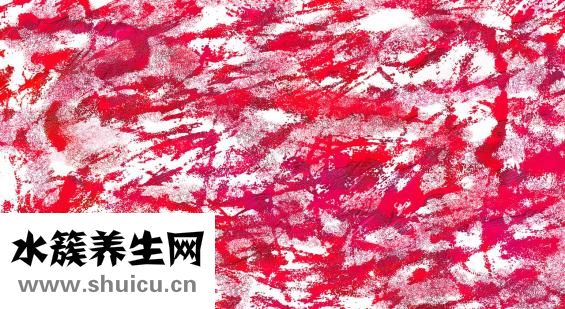 紫光怎么检测尿液