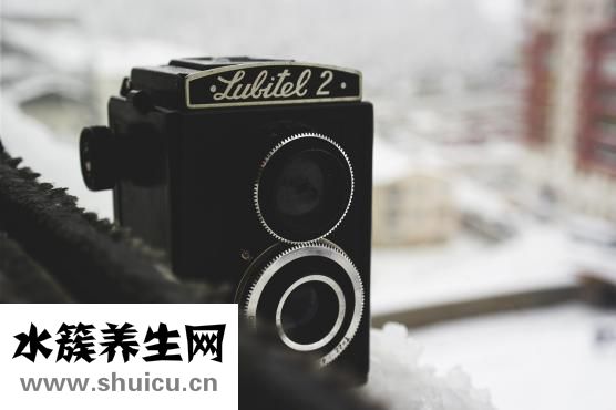 怎么凉拌连花白