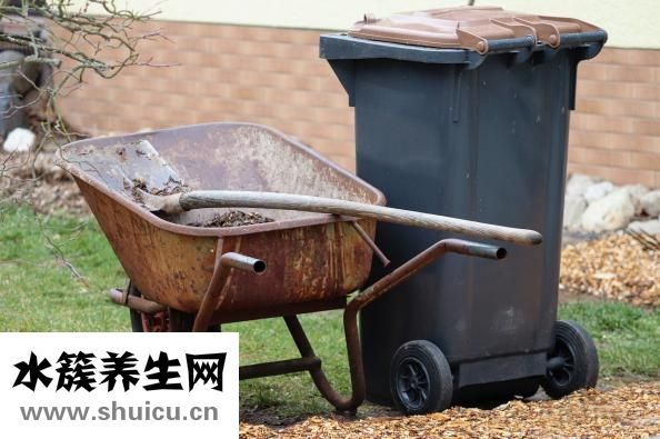 狗狗耳边感染怎么办