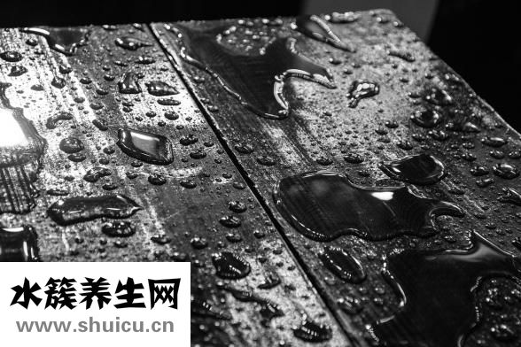 笨狗反肠子怎么办