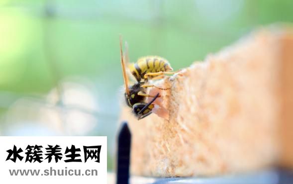 怎么一下子就饿了