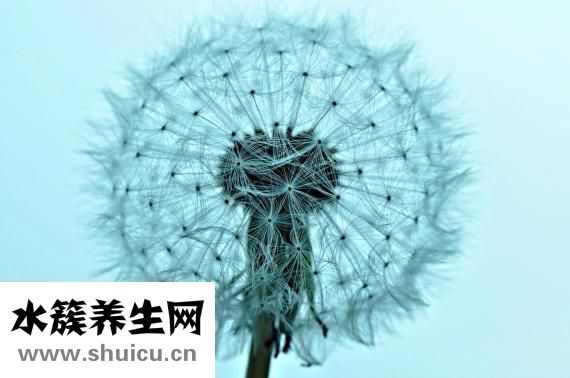 怎么画仙子
