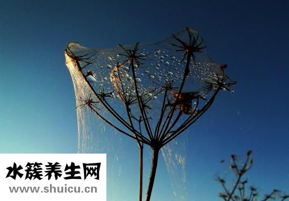 毛衣领子发黄怎么办