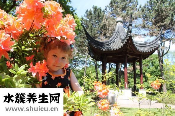 怎么称呼小萝莉