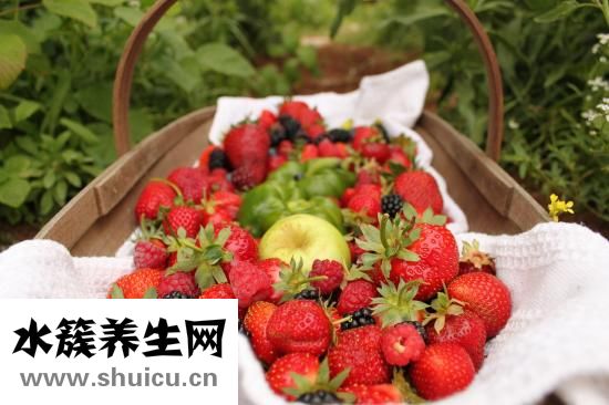 扇贝怎么挑