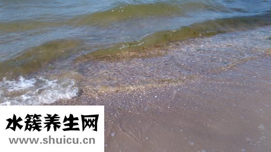 老人湿气重怎么办