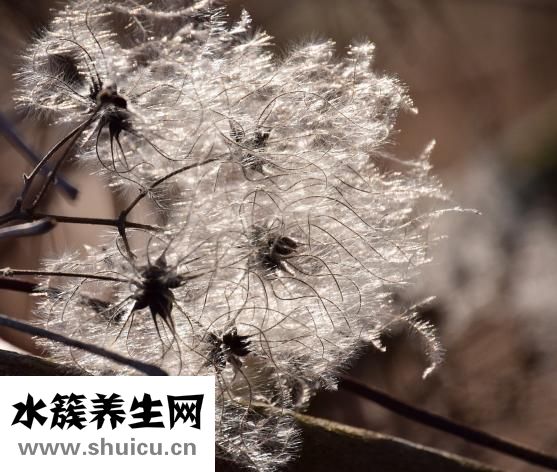 毛衣领子发黄怎么办