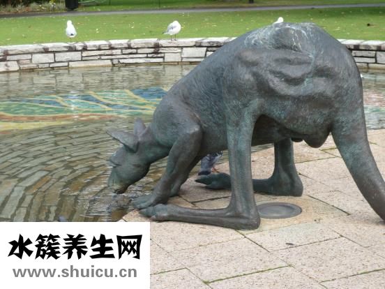 怎么喝自来水才健康