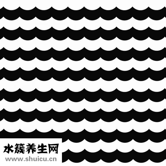 扇贝肉柱怎么洗