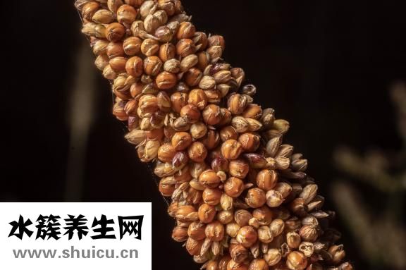 白菜炒鱿鱼怎么做
