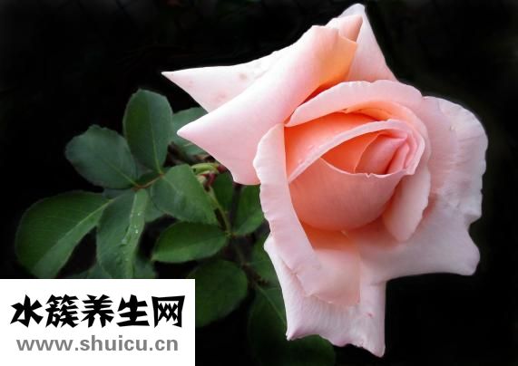 怎么抚摸阴帝