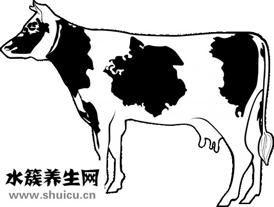 羊肉汤咸了怎么办