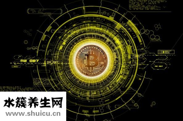 怎么和猫咪交流